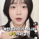 너네 <b>진자림</b> 복귀한 거 봄?