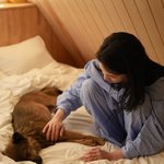 전진류이서, 임보견 새 가족 찾았다…마지막 밤 결국 '눈물'