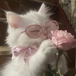 [오빠] <b>몇</b><b>컵</b>인데