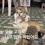 [댓글부탁해] <b>남친</b>한테 <b>사랑</b>해