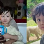 황정음 둘째 파마했는데 ㄹㅇ 전성기 황정음 복붙임ㅋㅋ