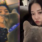 지드래곤, 이주연과 '재결합' 의혹…"<b>액자</b> 배치 똑같은데?"