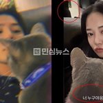 열애설 터진거 봄? 고양이 목줄+<b>소파</b>+인테리어+그림액자도 똑같네...