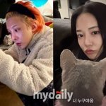 'N번째 열애설'…6년만 재결합? "입장無" [<b>MD</b>이슈](공식)