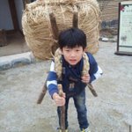 다시 돌아가면 과씨씨 절대 안한다