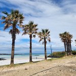 혼자 제주도를 가봤어