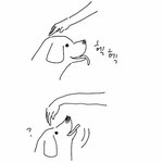 [웃픽] <b>처음</b> 보는 개를 쓰다듬는 방법