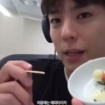 박보검에게 비행기란 하늘을 나는 <b>식당</b>인데...