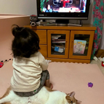 [고양이] 의외로 어린이한테는 관대한 <b>동물</b>