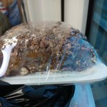 [댓글부탁해] 포실포실한 무지개떡 , ,