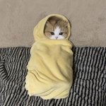 [<b>핸즈업</b>] 오빠 나 데이트하고 올게