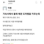 [웃픽] <b>재난</b>영화 도입부 시나리오