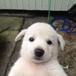 울부모님 <b>낭만</b> 어떰