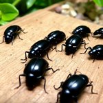 조회수 0도전! 제발 어<b>지마</b>