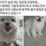 [웃픽] 온식구가 늦잠 자는 일요일 아침인데.<b>jpg</b>