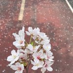 제대가 얼마 남지 않아 더 설레는 <b>뷔</b> 근황