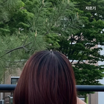머리<b>길이</b>