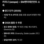 장원영, 카리나 1년 광고 수입 (<b>유료</b> 챗지피티)