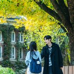 <b>색감</b> 이쁜 드라마