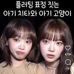 홍은채 이거 뭐임..??