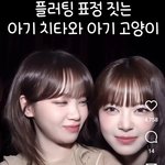 홍은채 이거 뭐야..?