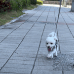 <b>어느날</b> 오빠가 나에게