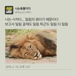 요즘 모하구사는지 <b>몰라</b>