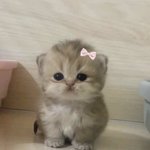 [<b>헤어</b>] 진다는거 정말