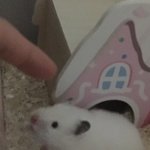 남친이 갑자기 인스타 활동중 끔 궁예좀 같이ㄱ