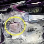 [댓글부탁해] 쿠팡 <b>프레쉬</b>백에 기저귀는 진짜 정신병자아님?