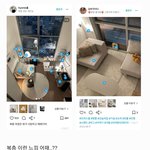 [강아지집] <b>복층</b> 이런 느낌 어때?