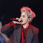 [드루와] 지디 오늘자 골프콘서트 ㄹㅈㄷ