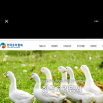 [드루와] 얘들아 이거 나만이러냐