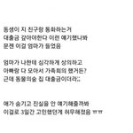 [웃픽] 동생 <b>대출금</b>