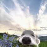 [스읍] 이게 <b>모니</b>..?