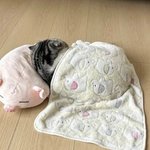 내가 오빠 <b>침대</b>에서 잘게