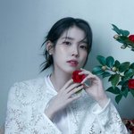 [드루와] 아이유·장고부부 아파트도 걸렸다는데…연예인도 못피한 '토허구역'