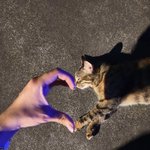 니<b>남친</b>이 <b>내</b>가 좋다는데?