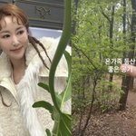 시작’ S.E.S 슈, 가족과 힐링 등산…근황 눈길 [<b>MD</b>스타]