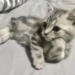 <b>느와르</b>영화의 주인공이 되고싶다고?