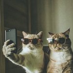 [<b>셀피</b>] 한개 남기고갈게