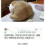 내가 진짜 살쪘구나를 느낀 순간