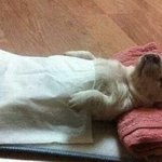 [<b>도움</b>] !!!! 오빠 일어나봐