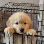 [오빠] 된찌<b>술국</b> 끓어ㅘ