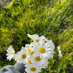 <b>단단</b>하고 내면이 강한 사람은