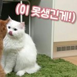 <b>까칠</b>하게 안할게