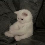 [<b>노망</b>난] 할배야 내연락 기다리지마