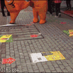 붉은<b>호랭이</b>