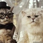 [내남친] 유부남에 무정자증인데