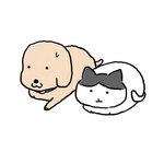 <b>언제</b>까지 이럴꺼야?